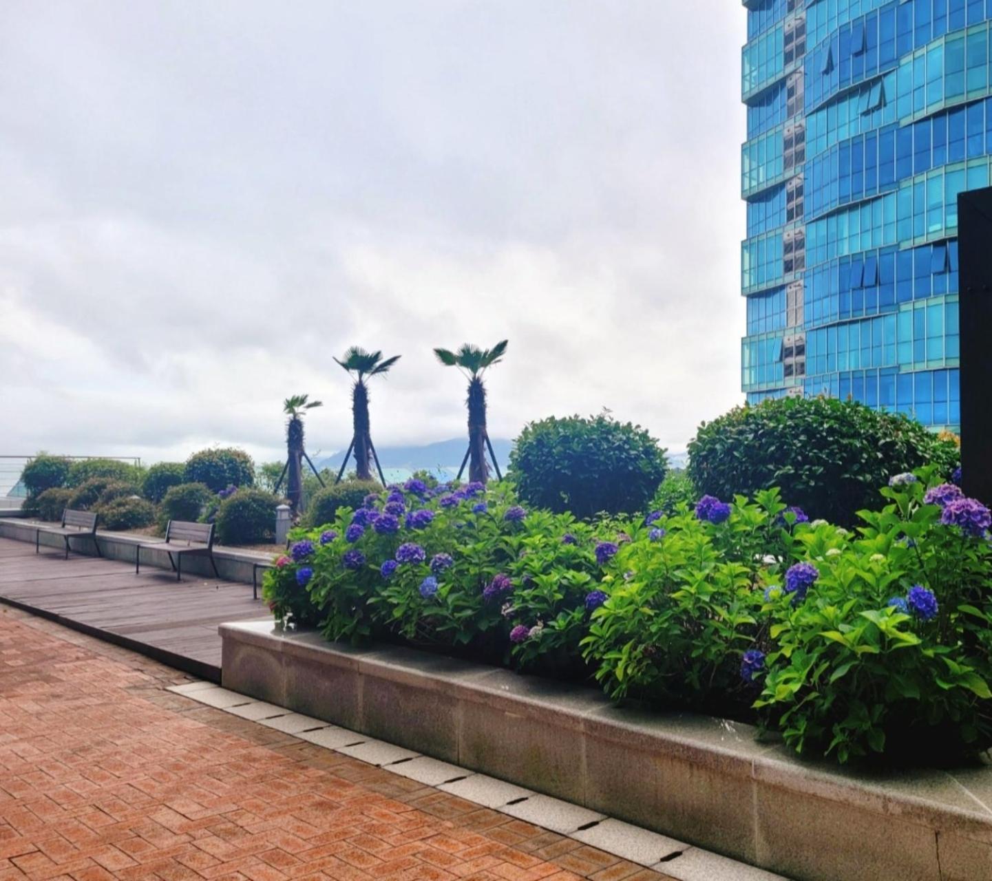 Pale De Cz Condo Busan Dış mekan fotoğraf