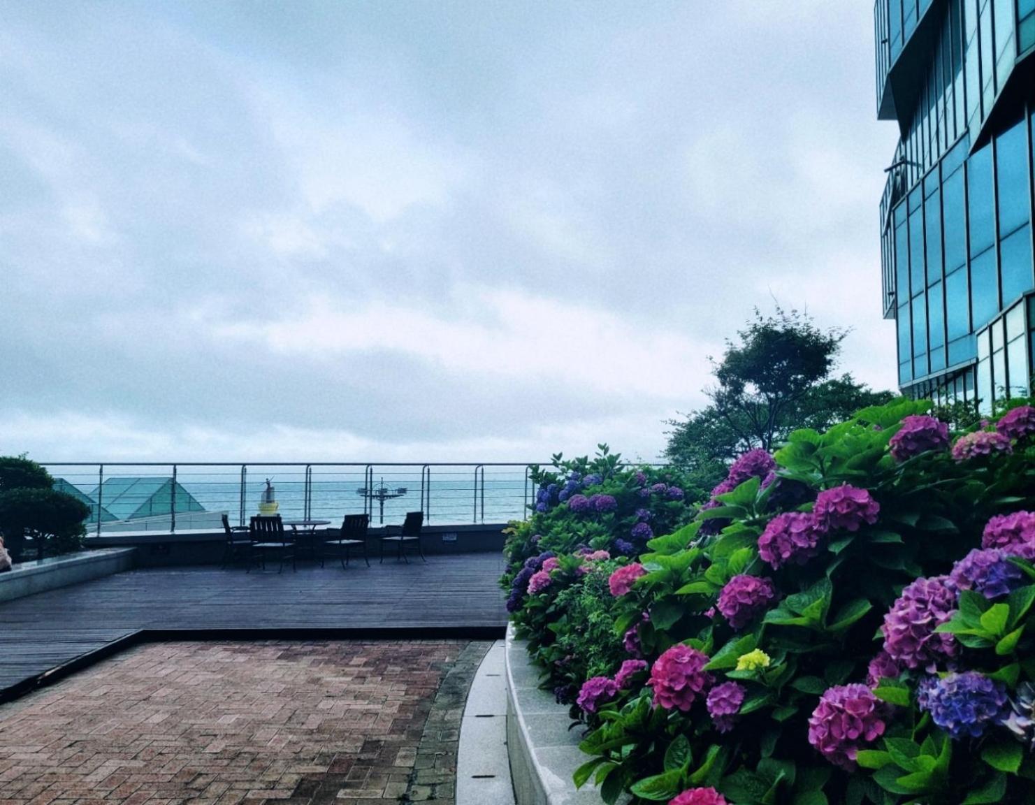 Pale De Cz Condo Busan Dış mekan fotoğraf