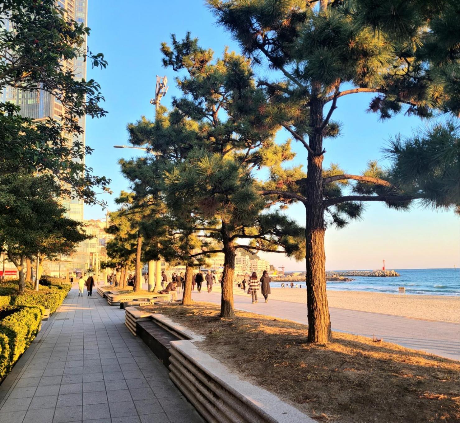 Pale De Cz Condo Busan Dış mekan fotoğraf