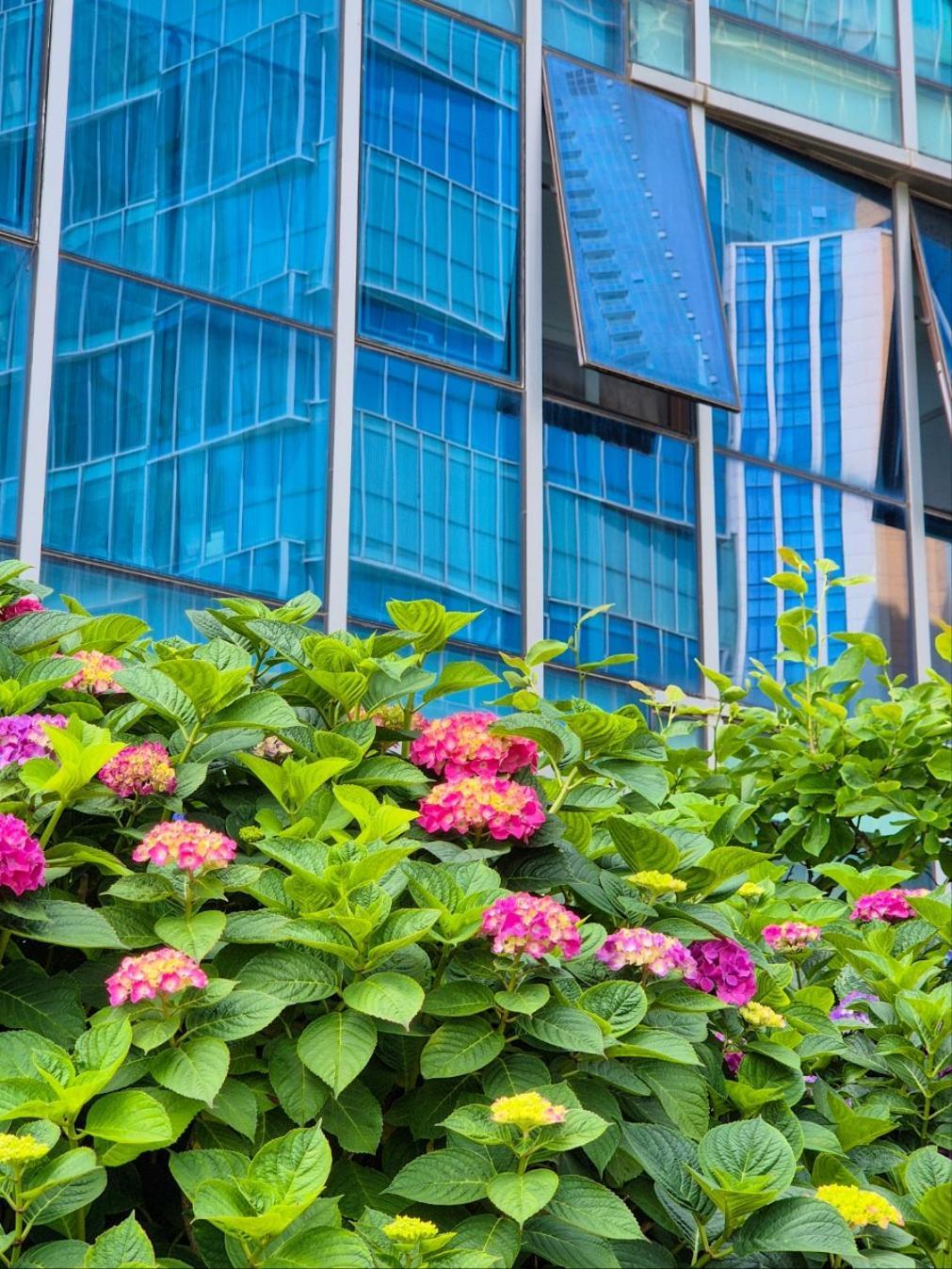 Pale De Cz Condo Busan Dış mekan fotoğraf